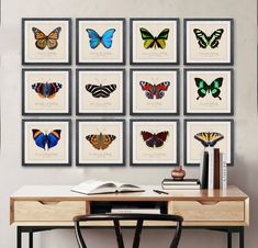 a desk with some books and pictures on the wall above it that are displaying different types of butterflies