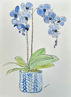 a painting of blue flowers in a blue and white vase with watercolor on paper