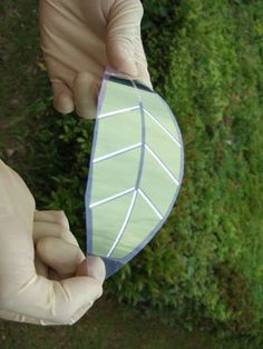 two hands holding a paper leaf in front of green grass and bushes, with one hand reaching for it