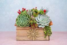 Christmas Holiday Rustic Wood Square Succulent Arrangement Planter: Winter Holiday Centerpiece or Home Decor Christmas Floral Centerpieces, Watering Succulents, Christmas Tray Decor, Hosting Holiday Party, Winter Centerpieces, Winter Holiday Decorations, Christmas Tray, Christmas Floral Arrangements, Colorful Succulents