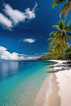 a beach with palm trees and clear blue water