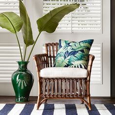 a green plant in a vase next to a wicker chair on a striped rug