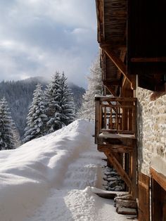 a snow covered mountain side with trees in the background