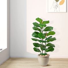 Gorgeous and realistic handmade Artificial Tree is beautiful both indoors and outdoors and is sturdy enough that it is the perfect decoration in your home. a decorative wooden planter. Fiddle Leaf Fig Plant, Banana Leaf Tree, Fiddle Leaf Tree, Fig Plant, Short Plants, Fiddle Leaf Fig Tree, Ficus Lyrata, Palm Plant, Artificial Trees