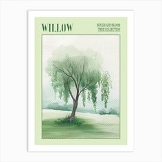 a watercolor painting of a tree with the words willow in green and white on it