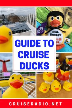 a collage of photos with the words guide to cruise ducks in front of them