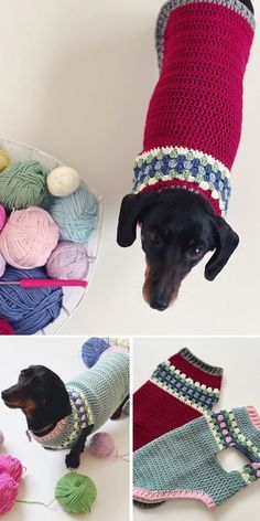 a dog is wearing a sweater and some balls of yarn