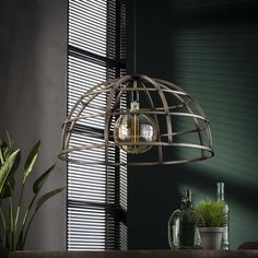 a lamp hanging from the ceiling next to a potted plant and bottles on a table