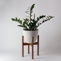 a potted plant sitting on top of a wooden stand