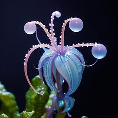 a blue and pink flower with bubbles on it