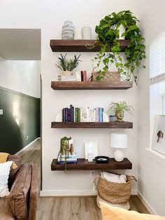 a living room filled with furniture and lots of plants on top of wooden shelving