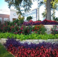 a flower bed in front of the peter andries building