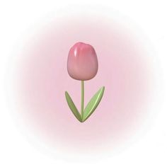 a single pink tulip with green leaves on a light pink and white background,