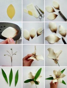 there are many pictures of flowers being made with scissors and paper plates on the table