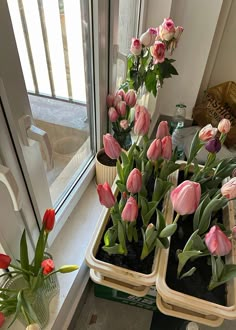 pink tulips and other flowers in containers on a window sill