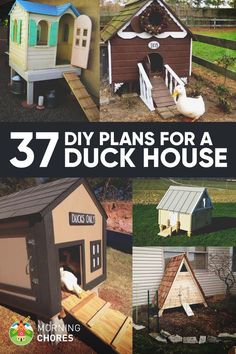 the cover of 37 diy plans for a duck house with pictures of different types of chicken houses