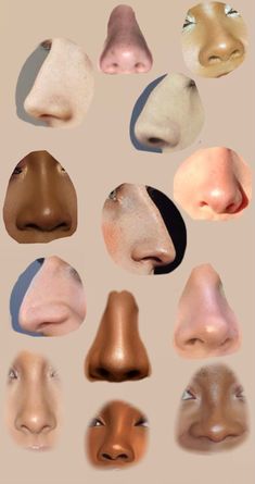 a group of different types of nose shapes