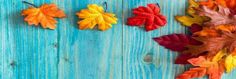 colorful autumn leaves laid out on a blue wooden surface with the words fall written below them