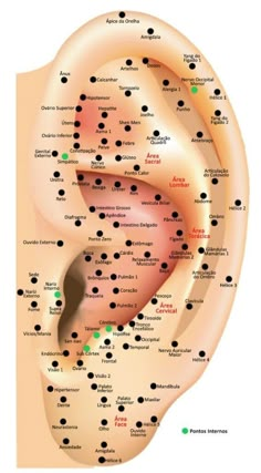 Healthy Gut Diet, Herb Infused Water, Body Massage Techniques, Tears Art, Body Pain Relief, Reflexology Chart, Foot Reflexology