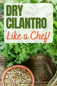 a bowl full of cilantro next to some parsley