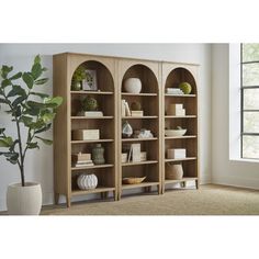 a large bookcase with three shelves in front of a potted plant on the floor