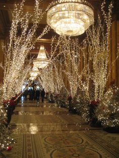 the roosevelt hotel is decorated for christmas with white lights and garlands on trees in the lobby