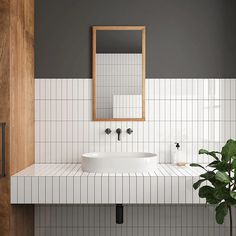 a white sink sitting under a bathroom mirror next to a plant in a vase on top of a counter