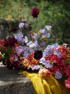 a bunch of flowers that are sitting on some rocks