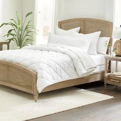 a bed with white comforter and pillows in a room next to a chair, table and potted plant