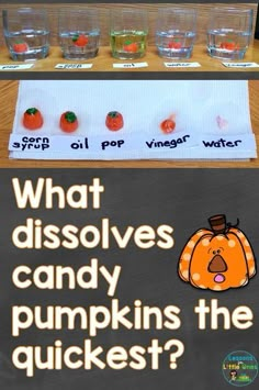 a sign that says what dissolves candy pumpkins the quickest? with four glasses