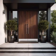 the entrance to a modern home with two large planters on each side and an entry door