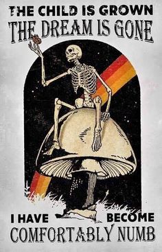 a skeleton sitting on top of a mushroom with the words,'the child is grown the dream is gone i have become comfortably numb '