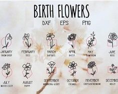 the birth flowers are shown in black and white, with pink lettering on it's side