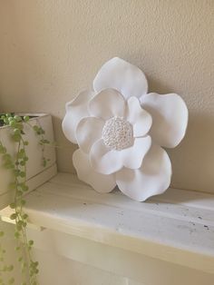 a white flower sitting on top of a shelf