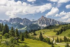 the mountains are covered in green grass and pine trees, while clouds hover over them