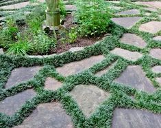 an outdoor garden with stone walkways and green plants in the center, surrounded by trees