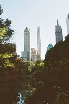 there are many tall buildings in the city with trees on both sides and water running between them