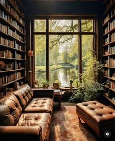 a living room filled with lots of books and furniture next to a window overlooking a lake