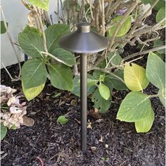 an outdoor light in the ground next to some plants