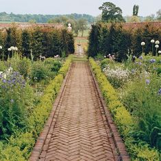 a brick path in the middle of a garden with white flowers and greenery on both sides