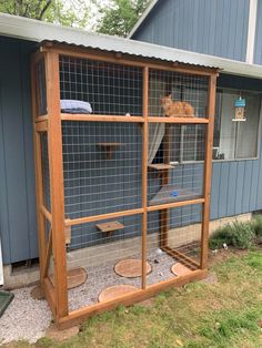 a cat in a cage on the outside of a house