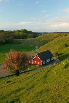 a red house sitting on top of a lush green hillside