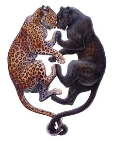 Big Cat Tattoo, Panther Tattoo, Room Pics, Panther Art, Big Cat, Leopards, Cat Tattoo