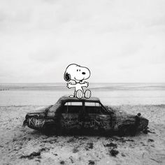 a black and white photo of a car in the sand with a cartoon dog on top