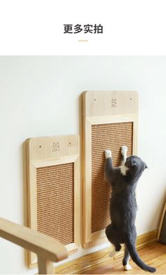 a cat standing on its hind legs in front of a wall with two wooden panels