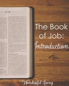 Suffering. Why does it happen. The book of Job teaches us much about suffering. Come and join us. Job In The Bible, Womens Bible Study, About Jesus, Bible Studies, Books Of The Bible