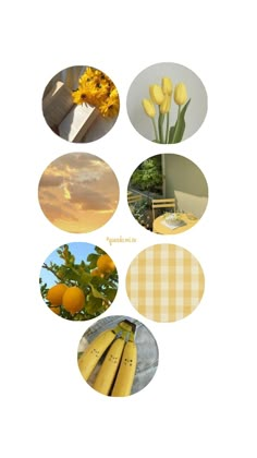 yellow flowers are arranged in the middle of a collage with different pictures around them