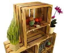 an arrangement of wooden crates with plants in them