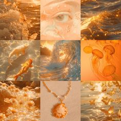 four different pictures with gold and blue colors in the water, including an octopus, jellyfish