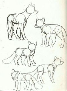 three different types of foxs are shown in this drawing lesson, which shows how to draw